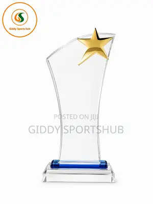 Premium Crystal Star Achievement Trophy Award