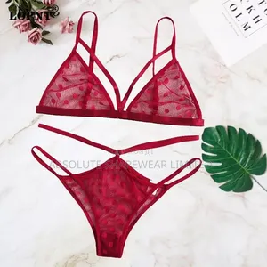 Polka Dot Mesh Lingerie