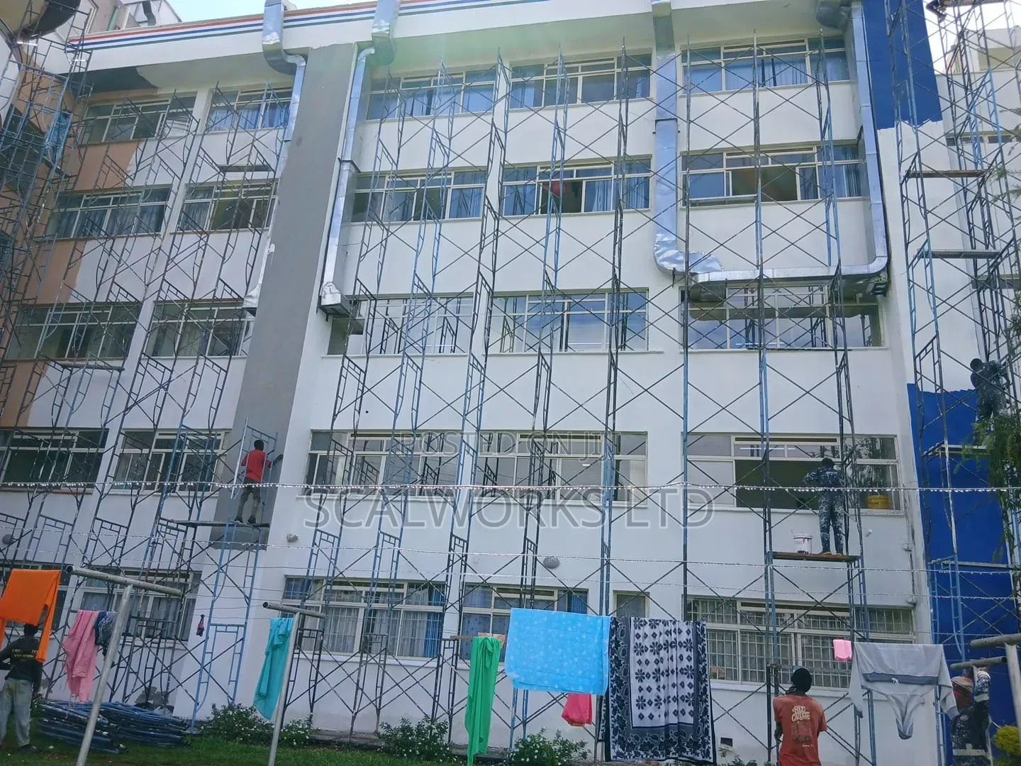 Scaffolds for Rental