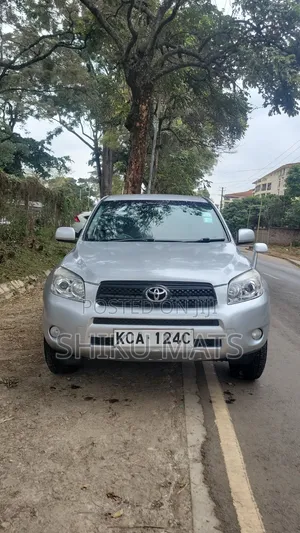 Toyota RAV4 2009 Gray