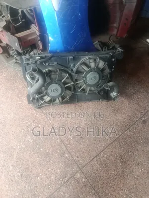Ex Japan Radiator for Wish 2010 on Sale
