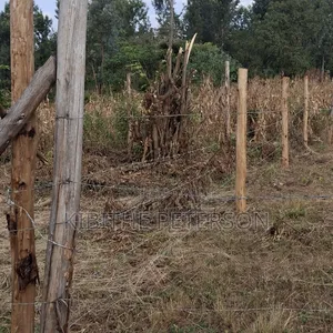 Prime Plots for Sale