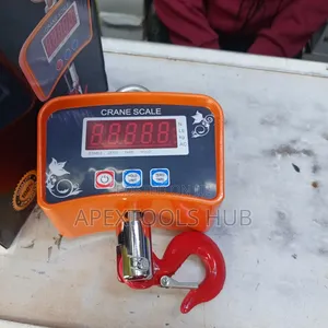 500kg Digital Crane Scale