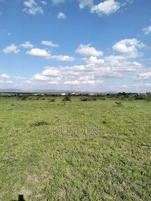 Plot for Sale