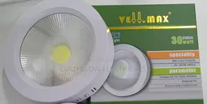 30watts COB Downlighter