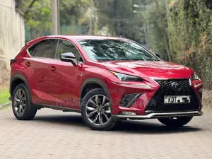 Lexus NX 300 FWD 2019 Red