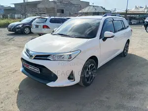 Toyota Corolla Fielder 2019 White
