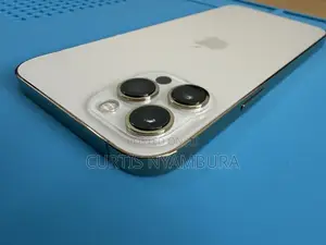 Apple iPhone 13 Pro Max 256 GB Gold