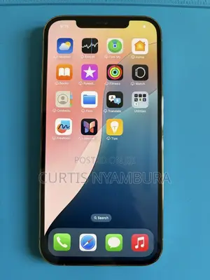 Apple iPhone 13 Pro Max 256 GB Gold