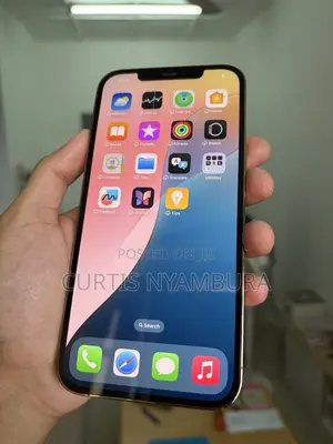 Apple iPhone 13 Pro Max 256 GB Gold