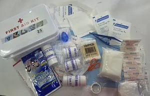 First Aid Kit With 75 Items