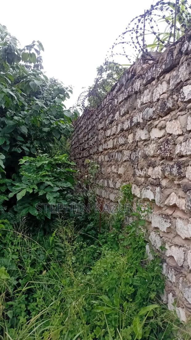 2nd Row's End 1/4 Acre Plot Size in Galu Beach - thumbnail 3