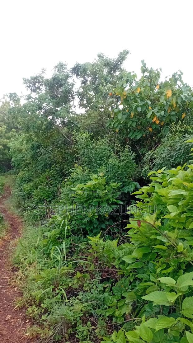2nd Row's End 1/4 Acre Plot Size in Galu Beach - thumbnail 6