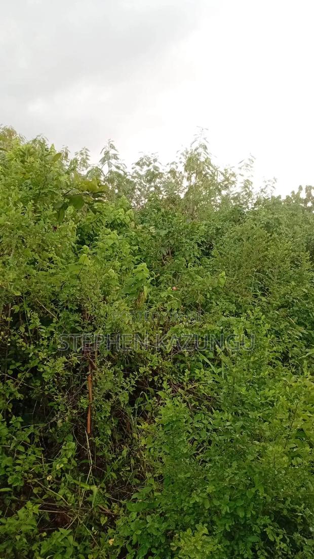 2nd Row's End 1/4 Acre Plot Size in Galu Beach - thumbnail 7