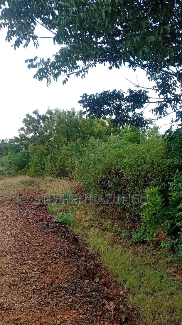 2nd Row's End 1/4 Acre Plot Size in Galu Beach - thumbnail 8