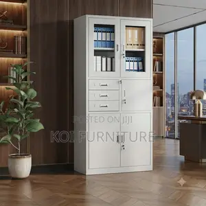 Office Cabinet; Steel Cabinet for Homes and Office Storage