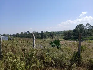 2 Acreas of Land Nanyuki Intrukuma