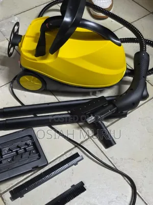 Robayse 2000w Steam Cleaner