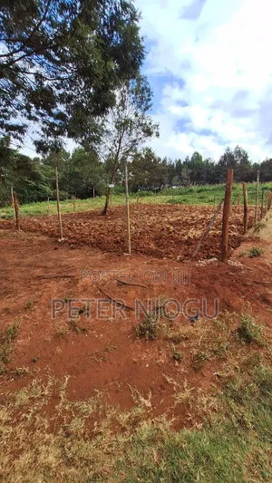 Plots for Sale