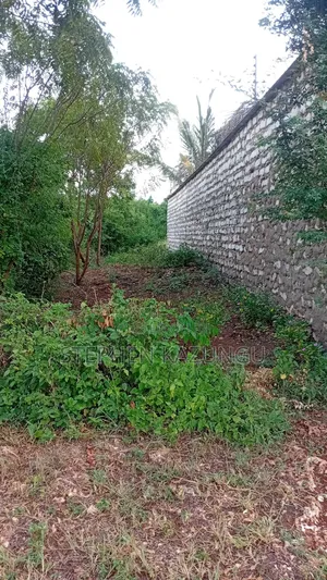 2nd Row's End 1/4 Acre Plot Size in Galu Beach Near Almanara Hotel.