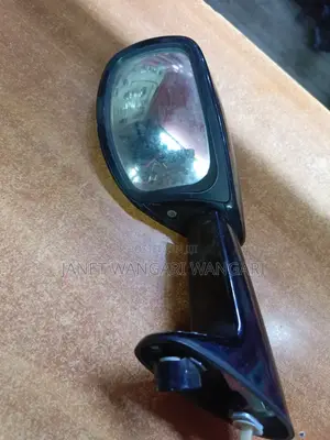 Wing Mirror/Fender Mirror Noah