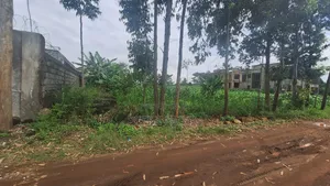 1/4plot Jambu TV Area