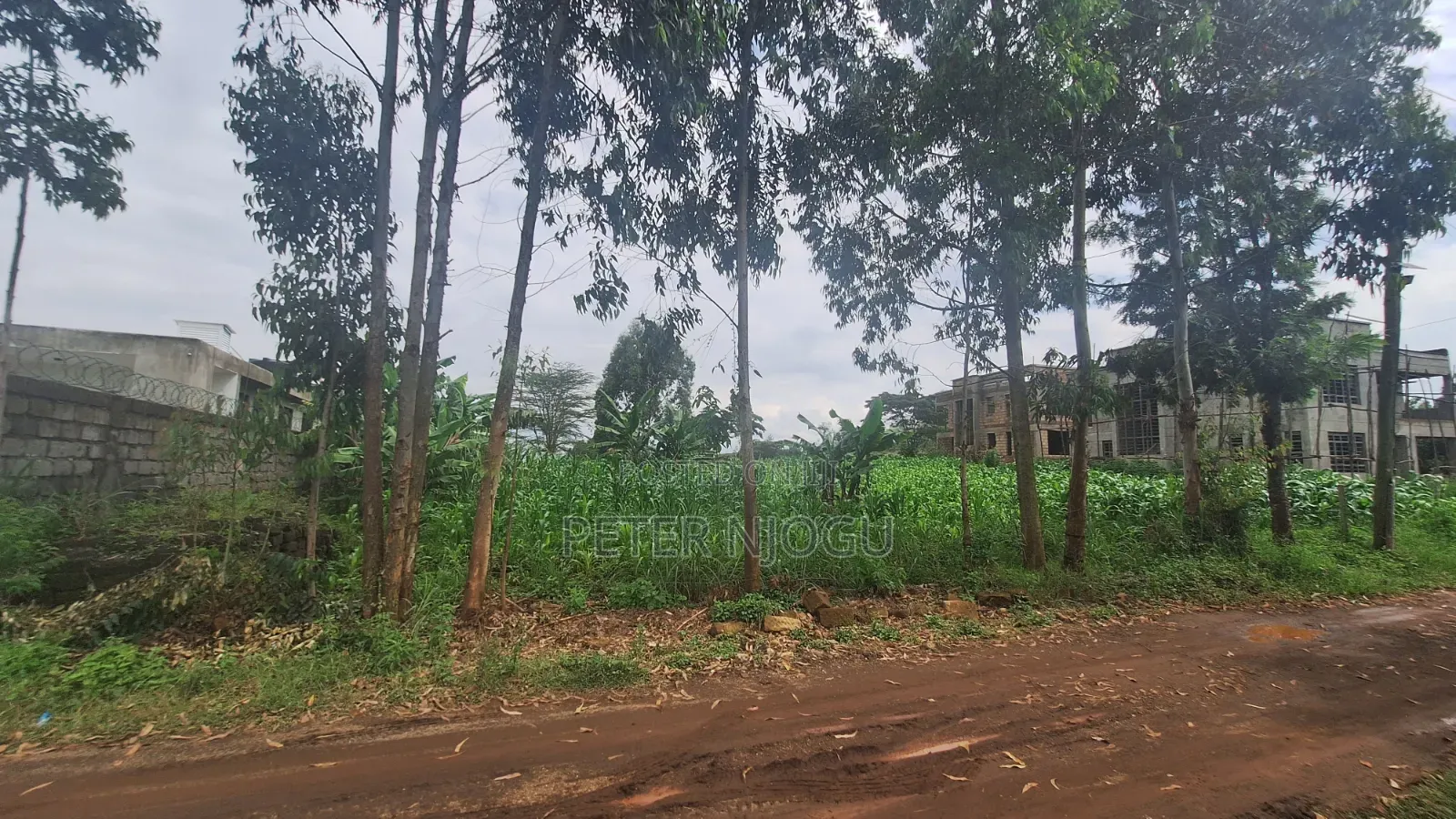 1/4plot Jambu TV Area