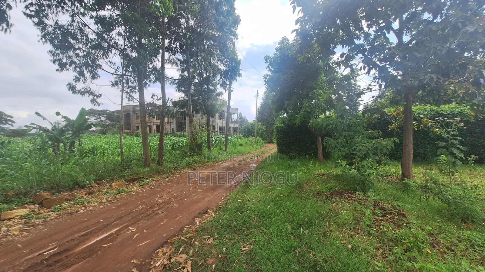 1/4plot Jambu TV Area