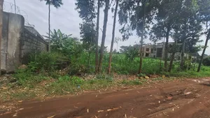 1/4plot Jambu TV Area