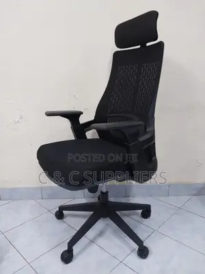 Modern Lama Ergonomic Mesh Chair.