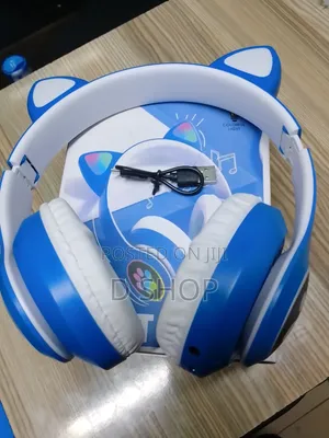 Blue Kids Headphones