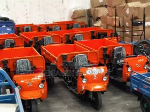 Cargo Trycycle