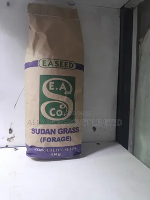 Sudan Grass Seeds Forage 1kg