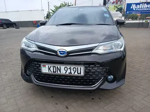 Toyota Corolla Fielder 2016 Black