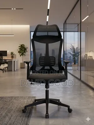 Orthopedic Office Chair