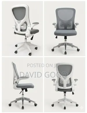 Orthopedic Office Chair