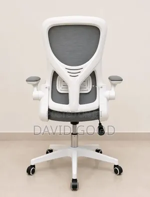 Orthopedic Office Chair