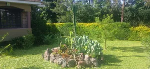 Land Scapping