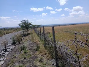 100 Acreas Gobit Nayuki