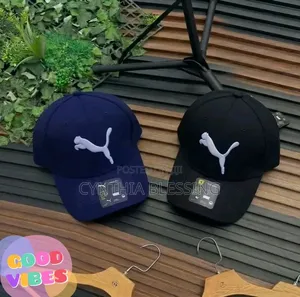 Fashion Designer Brand Caps