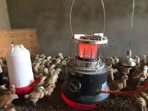 300 Chickd Portable Brooder Warmer
