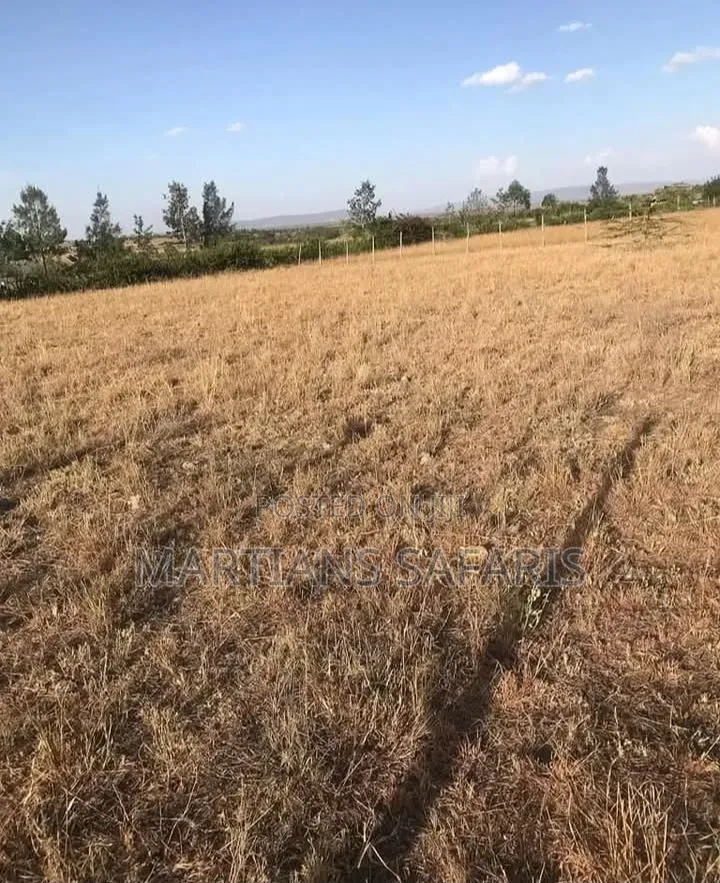 50*100 Plot Kitengela Acacia