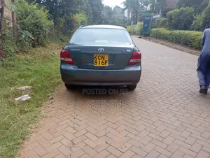 Toyota Axio 2011 Gray