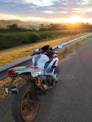 Kawasaki Ninja 300 2013 White
