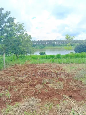 Ruiru-Mugutha Dam Ridge Estate Residential Plot