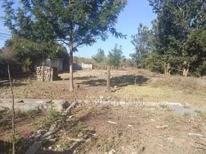 Prime Commercial 40×80 Plot Along Kiganjo Road