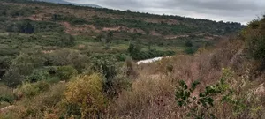 8 Acres Thika Kilimambogo