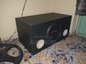 Pioneer Speaker