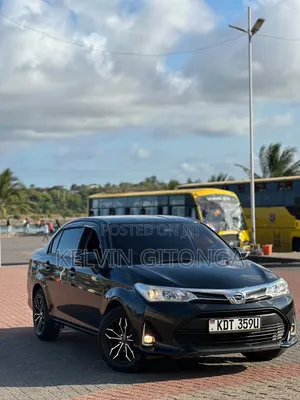 Toyota Axio 2018 Black