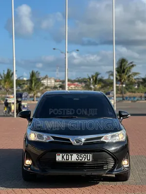 Toyota Axio 2018 Black